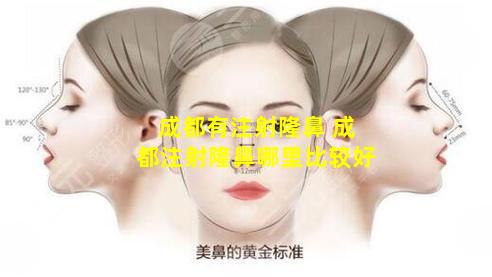 成都有注射隆鼻 成都注射隆鼻哪里比较好